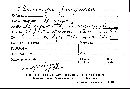 Claviceps purpurea image