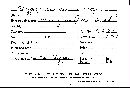 Trichoderma ceramicum image