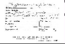 Hypocrea sulphurea image