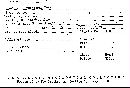 Abortiporus biennis image