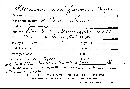 Stereopsis radicans image