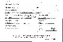 Bovista plumbea image