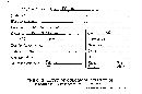 Image of Endogone tuberculosa