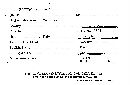 Diatrypella favacea image