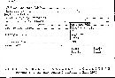 Scleroderma verrucosum image