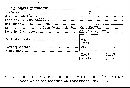 Scleroderma verrucosum image