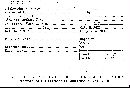 Scleroderma tenerum image