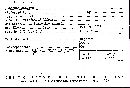 Stereum adnatum image