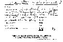 Stereum rimosum image