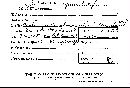 Cymatoderma infundibuliforme image