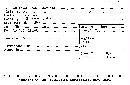 Coltricia cinnamomea image