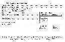 Coltricia cinnamomea image