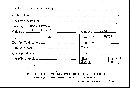 Scleroderma verrucosum image