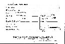 Scleroderma verrucosum image