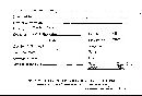 Scleroderma verrucosum image