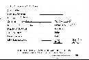 Scleroderma verrucosum image