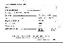 Scleroderma verrucosum image