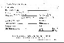 Scleroderma verrucosum image