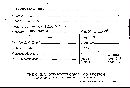 Scleroderma cepa image