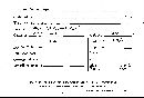 Scleroderma cepa image