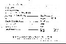 Scleroderma flavidum image