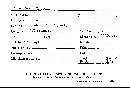 Scleroderma flavidum image