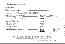 Scleroderma flavidum image