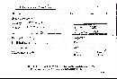 Scleroderma flavidum image