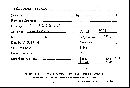 Scleroderma flavidum image