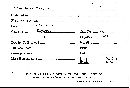 Scleroderma flavidum image