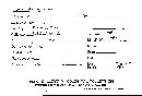 Lycoperdon gemmatum image