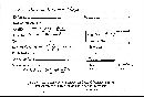 Scleroderma polyrhizum image