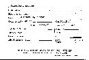 Scleroderma polyrhizum image