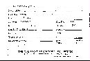 Scleroderma polyrhizum image