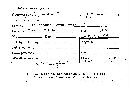 Scleroderma polyrhizum image