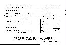 Scleroderma polyrhizum image