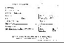 Secotium acuminatum image