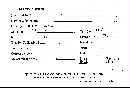 Bovista plumbea image
