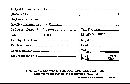 Coltricia perennis image