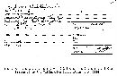 Xylocoremium flabelliforme image