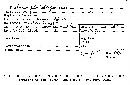 Xylocoremium flabelliforme image