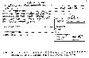 Xylaria adscendens image