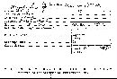 Annulohypoxylon truncatum image