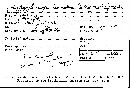 Annulohypoxylon truncatum image