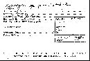 Hypoxylon jecorinum image