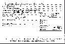 Hypoxylon fuscum image