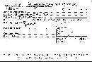 Annulohypoxylon truncatum image