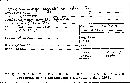 Hypoxylon polyporus image