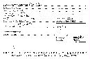 Biscogniauxia repanda image