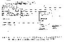 Biscogniauxia repanda image